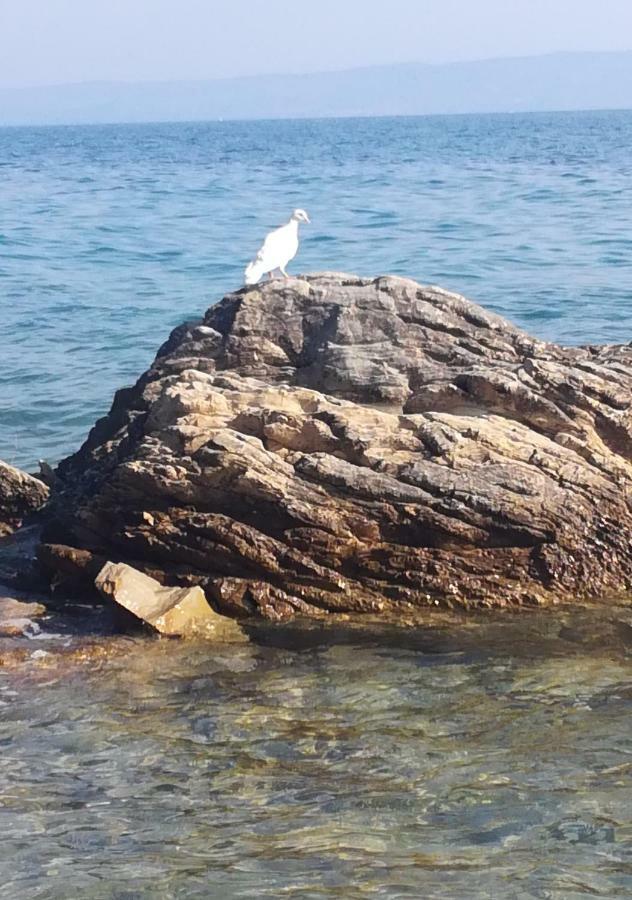 Apartman Nakić Split Zewnętrze zdjęcie